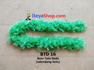 BTD 16  large2